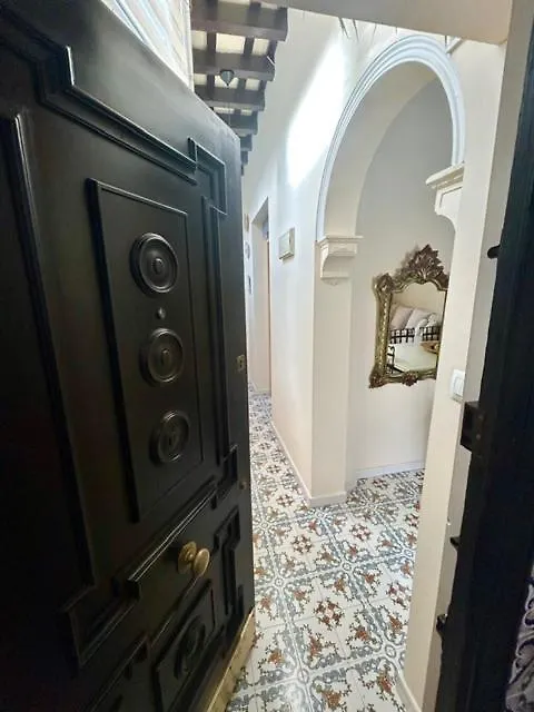 Gatu Casa Lola , 